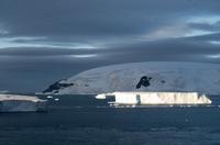 Eisberge im Friedjov Sound 