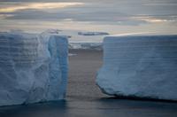 Eisberge im Friedjov Sound 