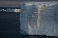 Eisberge im Friedjov Sound 