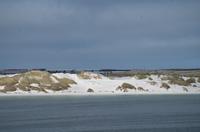 Willkommen auf den Falkland Inseln