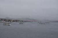 Falkland Inseln - Bucht von Stanley
