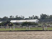 Fotostopp am Polostadion