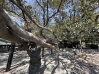 Friedhof La Recoleta