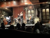 Abendessen mit Tangoshow