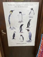 Spaziergang durch Ushuaia