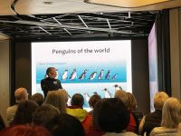 Vortrag über die Pinguine