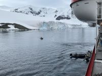 Unser erster Landgang auf Danco Island
