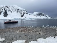 Unser erster Landgang auf Danco Island