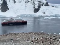 Unser erster Landgang auf Danco Island