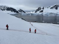 Unser erster Landgang auf Danco Island