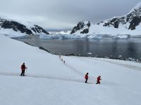 Unser erster Landgang auf Danco Island