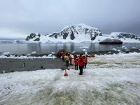Unser erster Landgang auf Danco Island