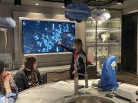 Untersuchung des Planktons im Science Center 