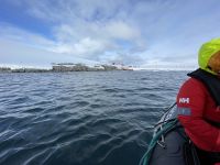 Landgang am Damoy Point auf Anvers Island