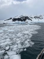 Bootstour in Skontorp Cove
