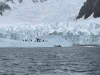 Bootstour in Skontorp Cove