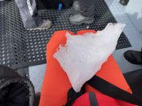 Bootstour in Skontorp Cove