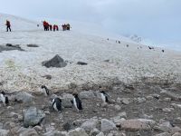 Landgang in Neko Harbour 