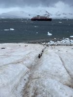 Landgang in Neko Harbour 