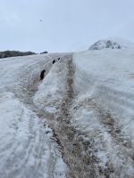 Landgang in Neko Harbour 