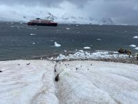 Landgang in Neko Harbour 