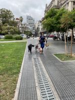 Stadtspaziergang in Buenos Aires