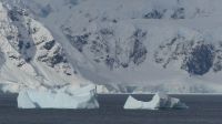 Fahrt durch die Wilhelmina Bay