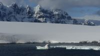 Landgang am Damoy Point auf Anvers Island