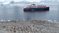 Unser erster Landgang auf Danco Island