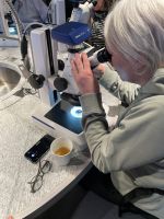 Untersuchung weiterer Wasserproben im Science Center