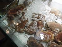 Abendessen im Restaurant 