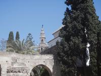Alcazar von Sevilla, Blick zum Giralda-Turm