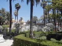 Alcazar von Sevilla, Paradiesgarten