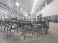 Sektkellerei Freixenet