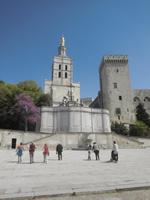Domberg in Avignon