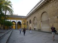 Cordoba