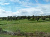 Alentejo