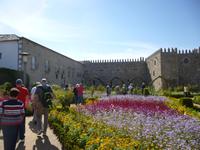 Braga