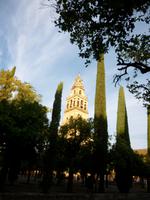 Cordoba