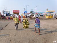 Am Strand von Digha - auch hier erfrischen Kokosnüsse