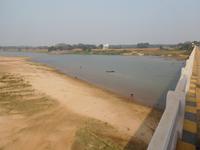 Büffel baden im Fluss