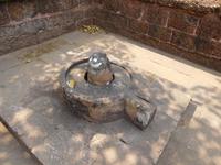 Lingam-Idol - das Zeichen für Gott Shiva, Bhubaneswar