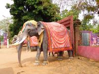 Steinelefant vor der großen Tanzhalle von Odisha