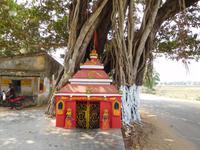 Baumtempel in einem Dorf in Odisha