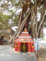 Baumtempel in einem Dorf in Odisha