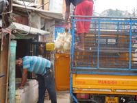 hier werden Hühner verkauft...