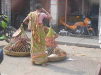 Qual der Wahl: welches Huhn nimmt man?