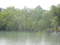 Sundarbans bei Flut-Hochstand