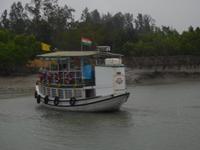 unterwegs in den Sundarbans