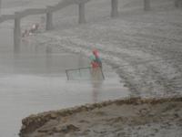 Frauen bei der Krabbenfischerei mit Schleppnetz